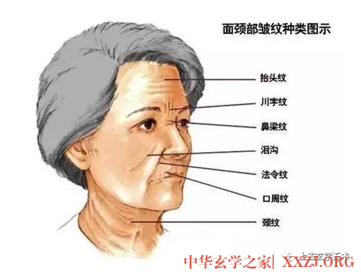 面相图解:法令纹相法绝学【相人】 面相图解:法令纹相法绝学【相人】