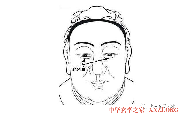 《麻衣相法》之面相十二宫图文详解大全【相人】 《麻衣相法》之面相十二宫图文详解大全【相人】