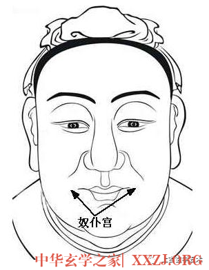 古相法秘技:面相“五星六曜”推命总诀《面相算命图解:面相十二宫位置》【相人】 古相法秘技:面相“五星六曜”推命总诀《面相算命图解:面相十二宫位置》【相人】