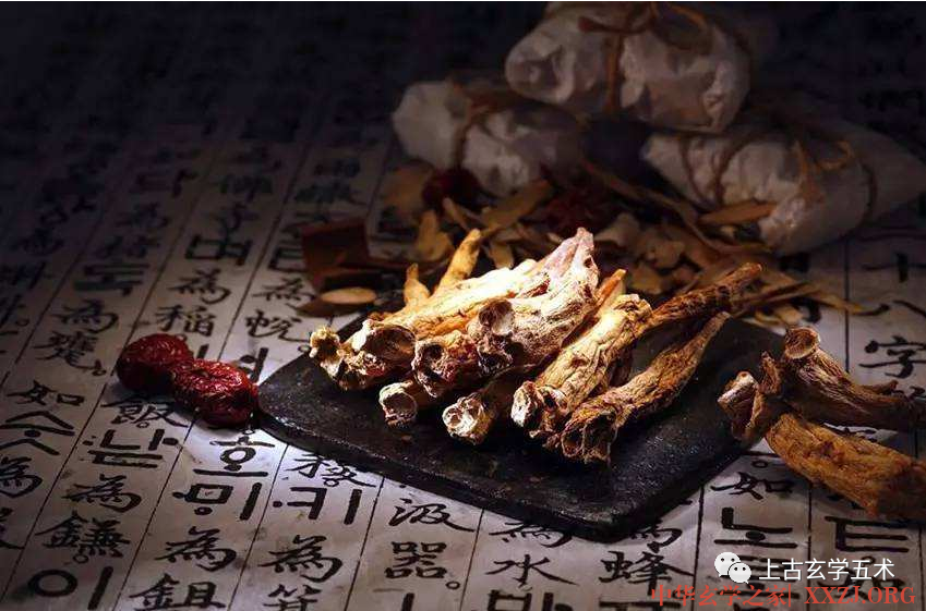 《黄帝内经·素问》灵兰秘典论篇第八【灵治】 《黄帝内经·素问》灵兰秘典论篇第八【灵治】