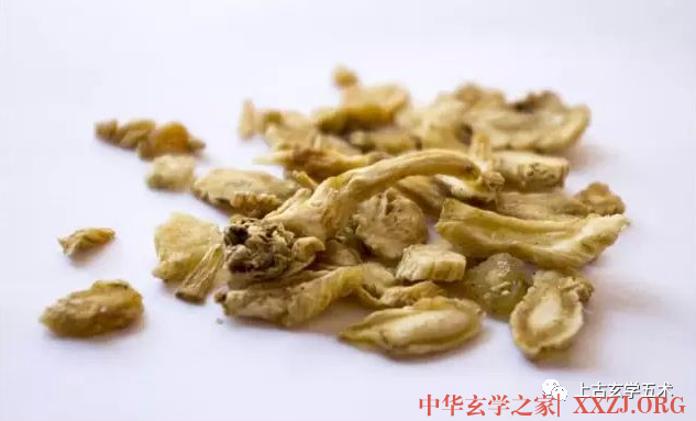 银翘散【方药】