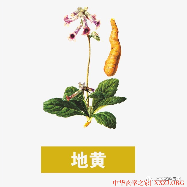 铅汞甲庚至宝集成卷之一 铅汞甲庚至宝集成卷之一