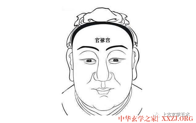 《麻衣相法》之面相十二宫图文详解大全【相人】 《麻衣相法》之面相十二宫图文详解大全【相人】