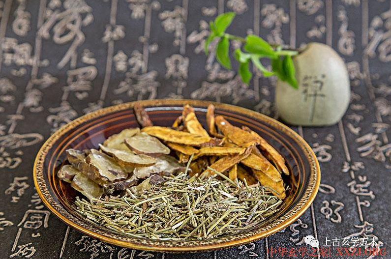 大黄附子汤【方药】