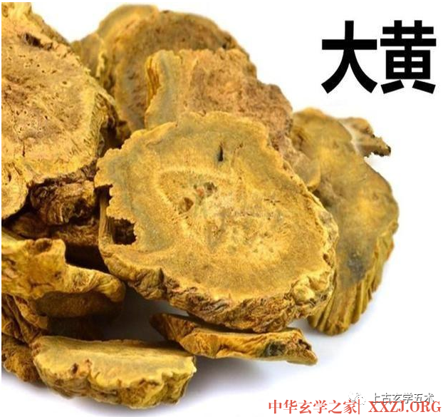 大黄牡丹汤【方药】