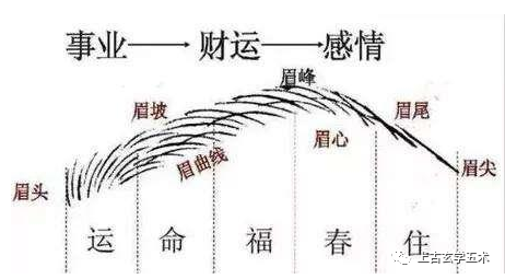 传统相法之《五官总论》(附五官诗)【相人】 传统相法之《五官总论》(附五官诗)【相人】