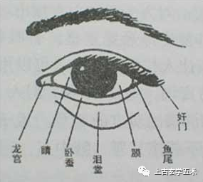 传统相法之《五官总论》(附五官诗)【相人】 传统相法之《五官总论》(附五官诗)【相人】
