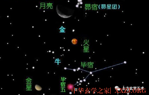 西方白虎-昴宿(昴日鸡)胃宿(胃土雉)【相天】 西方白虎-昴宿(昴日鸡)胃宿(胃土雉)【相天】