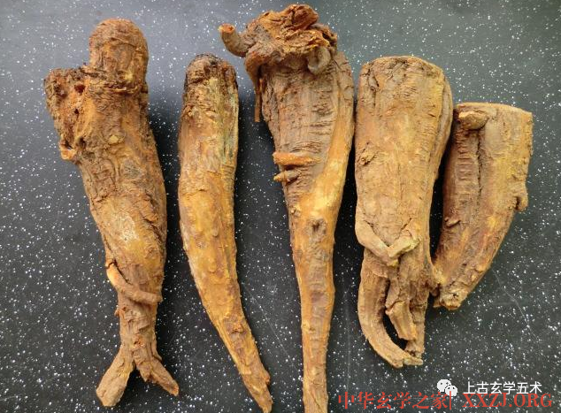 三物备急丸【方药】