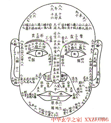 颜面十三部位痣相【相人】 颜面十三部位痣相【相人】