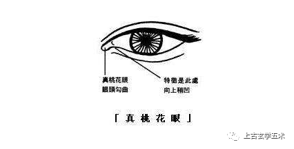 民间秘传面相术大揭秘---五官相法秘解【相人】 民间秘传面相术大揭秘---五官相法秘解【相人】
