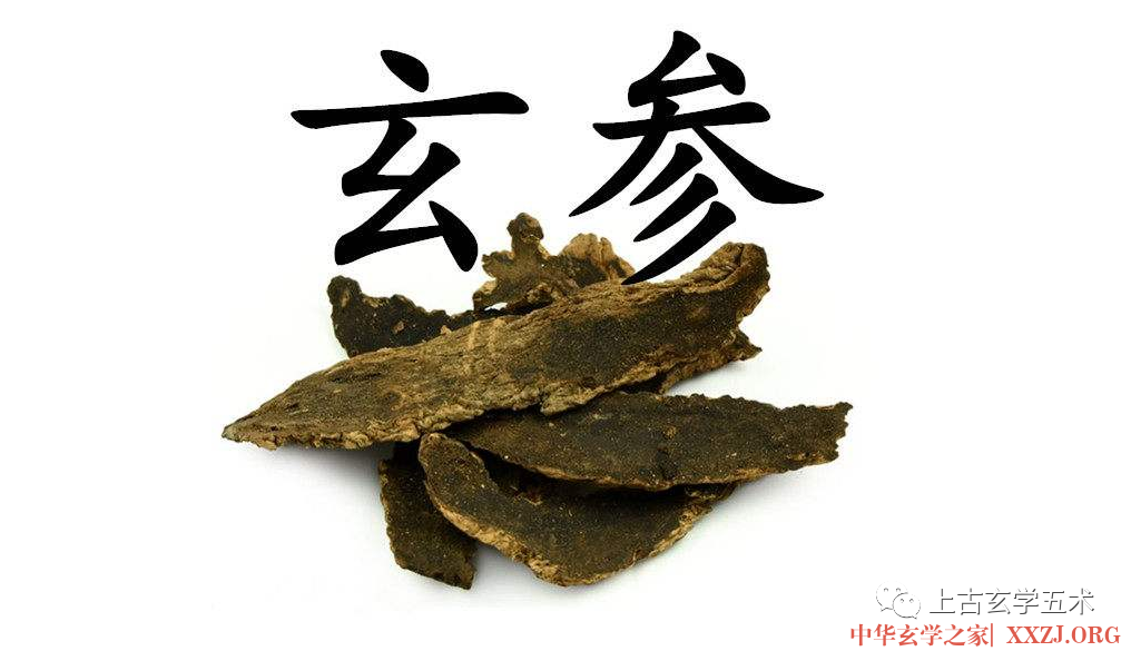 增液承气汤【方药】