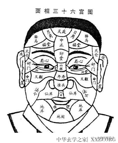 《太清神鉴》卷一第三章:相法妙诀,三停与五行【相人】 《太清神鉴》卷一第三章:相法妙诀,三停与五行【相人】
