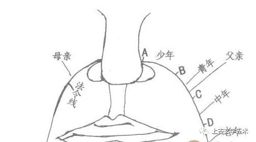 面相图解:法令纹相法绝学【相人】 面相图解:法令纹相法绝学【相人】