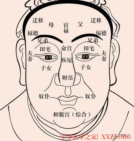《麻衣相法》之面相十二宫图文详解大全【相人】 《麻衣相法》之面相十二宫图文详解大全【相人】