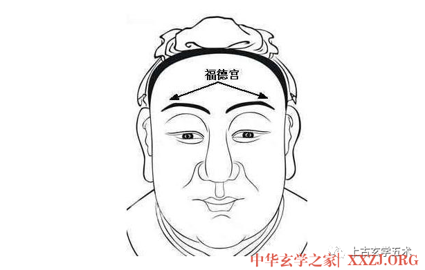 《麻衣相法》之面相十二宫图文详解大全【相人】 《麻衣相法》之面相十二宫图文详解大全【相人】