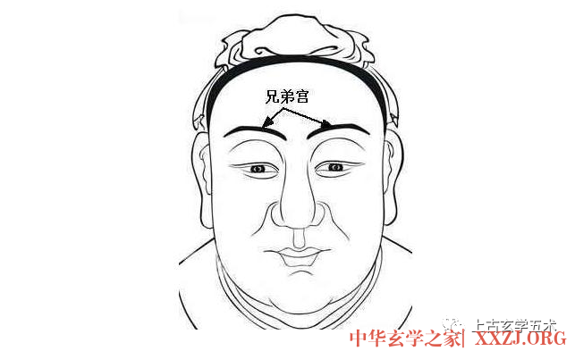 《麻衣相法》之面相十二宫图文详解大全【相人】 《麻衣相法》之面相十二宫图文详解大全【相人】