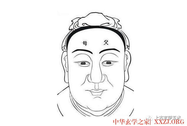 《麻衣相法》之面相十二宫图文详解大全【相人】 《麻衣相法》之面相十二宫图文详解大全【相人】