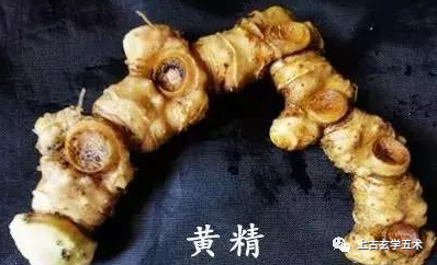 道家服食术与容颜不老 【服饵】 道家服食术与容颜不老 【服饵】