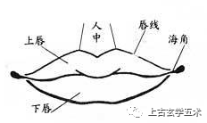 传统相法之《五官总论》(附五官诗)【相人】 传统相法之《五官总论》(附五官诗)【相人】
