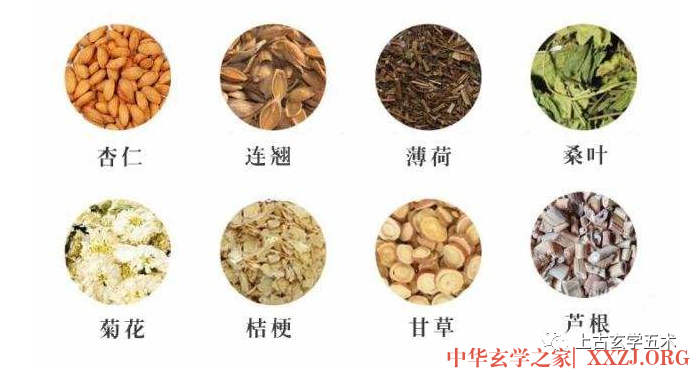 桑菊饮【方药】