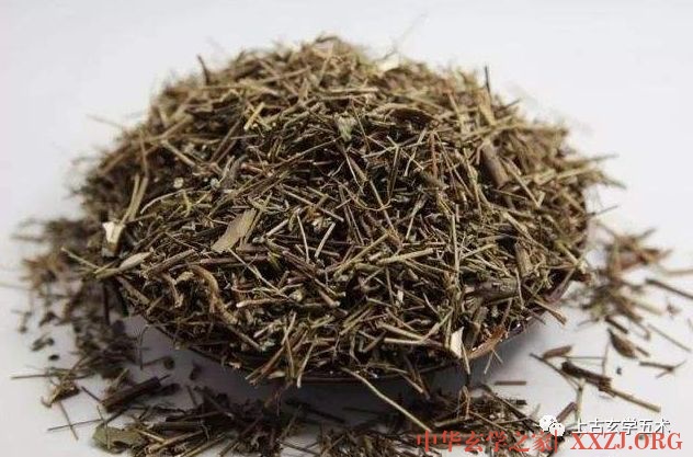 香薷散【方药】