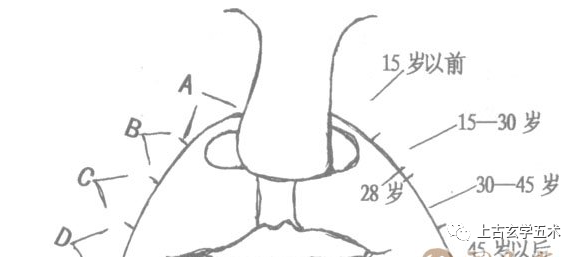 面相图解:法令纹相法绝学【相人】 面相图解:法令纹相法绝学【相人】