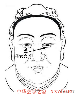 古相法秘技:面相“五星六曜”推命总诀《面相算命图解:面相十二宫位置》【相人】 古相法秘技:面相“五星六曜”推命总诀《面相算命图解:面相十二宫位置》【相人】