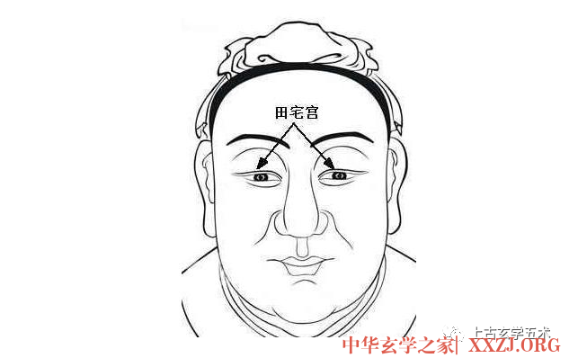 《麻衣相法》之面相十二宫图文详解大全【相人】 《麻衣相法》之面相十二宫图文详解大全【相人】