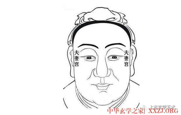 《麻衣相法》之面相十二宫图文详解大全【相人】 《麻衣相法》之面相十二宫图文详解大全【相人】