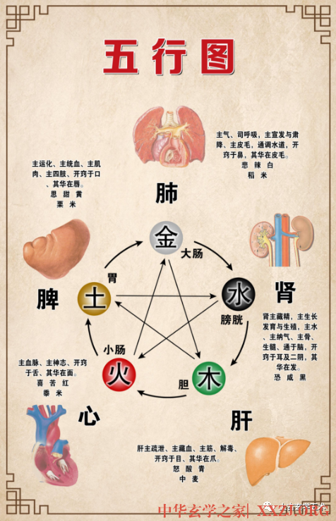 《黄帝内经·素问》脉要精微论篇第十七【灵治】 《黄帝内经·素问》脉要精微论篇第十七【灵治】