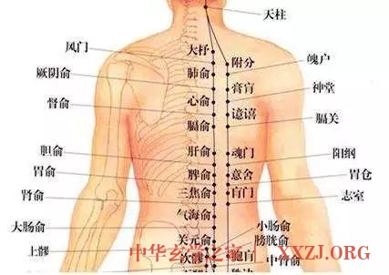 晚睡+晚起=双杀阳气！ 这几招“补救方法”，赶紧用起来