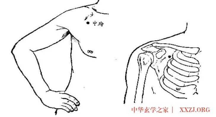 春天,激活人体7个“生阳点”,能源源不断地产生阳气 春天,激活人体7个“生阳点”,能源源不断地产生阳气