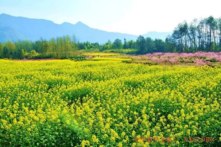 手上藏的三大清肠排毒穴