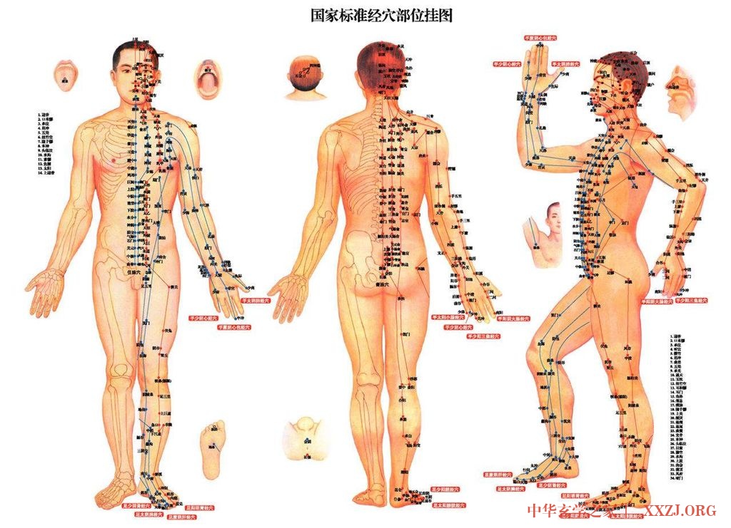 养生要先从脚开始:人老脚先老 养生要先从脚开始:人老脚先老