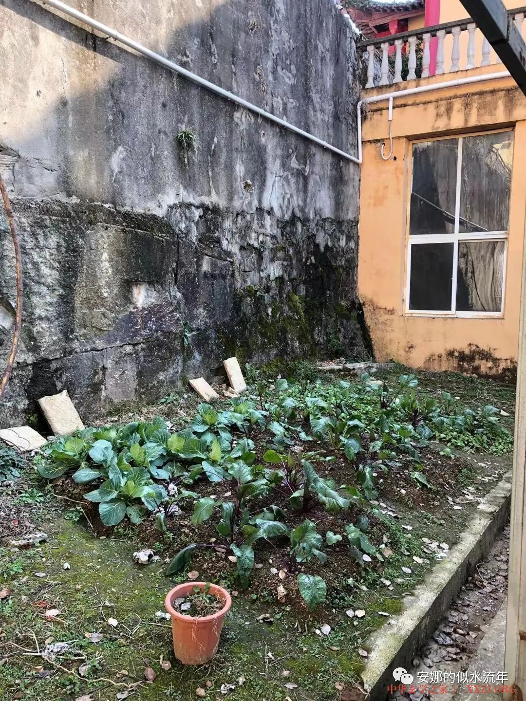 雨宝陀罗尼经修持法会