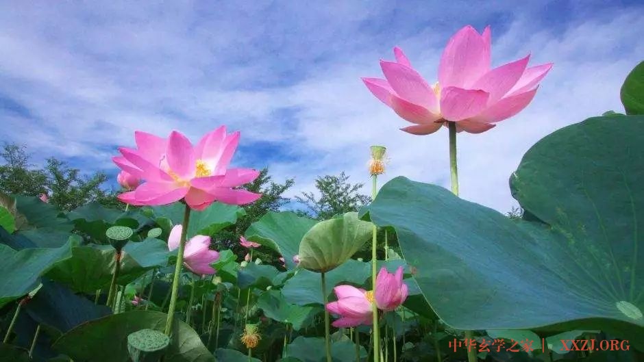 60首超好听的佛歌，随喜转发，功德无量