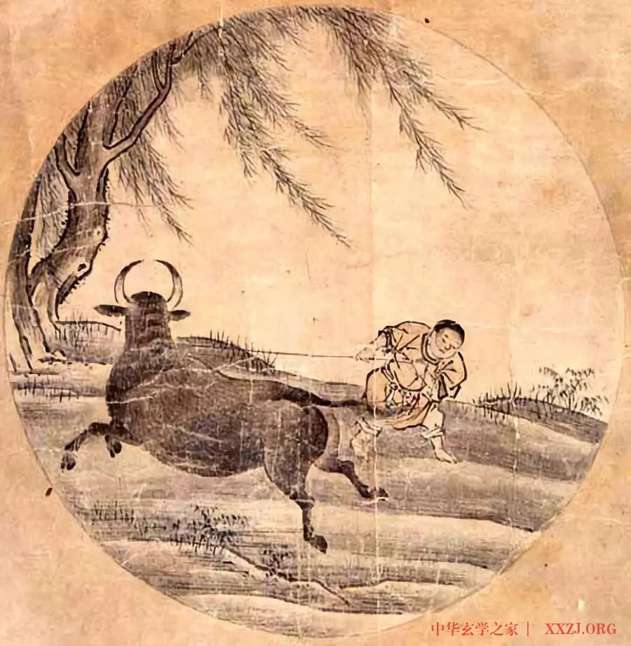 牧牛图:揭开禅宗的修行秘密 牧牛图:揭开禅宗的修行秘密