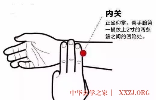 养护心脏的简便方法:按内关穴 养护心脏的简便方法:按内关穴