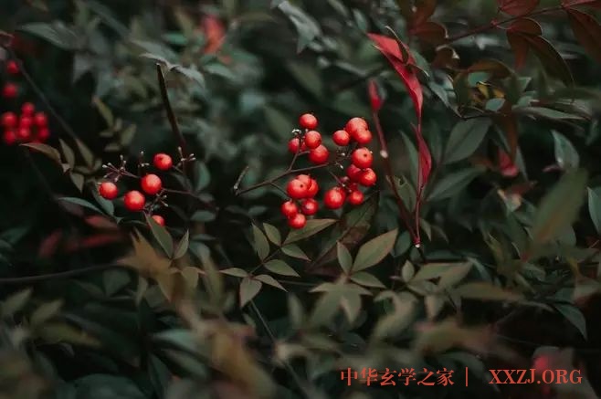 精神层次越高,人就会越善良 精神层次越高,人就会越善良