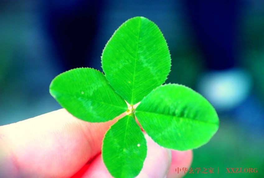 做自己的太阳，无需凭借谁的光。