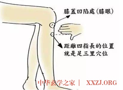春天,激活人体7个“生阳点”,能源源不断地产生阳气 春天,激活人体7个“生阳点”,能源源不断地产生阳气