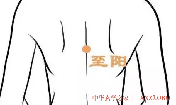 春天,激活人体7个“生阳点”,能源源不断地产生阳气 春天,激活人体7个“生阳点”,能源源不断地产生阳气