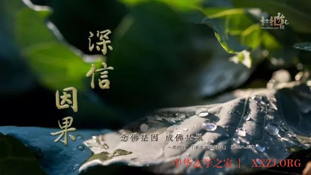 每日一禅:所有你所给予的,都会回到你身上 每日一禅:所有你所给予的,都会回到你身上