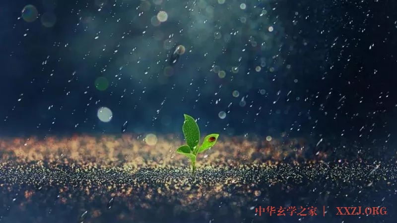 所有的“养生”都是徒劳的? 看完此文,你就不会再纠结了 所有的“养生”都是徒劳的? 看完此文,你就不会再纠结了
