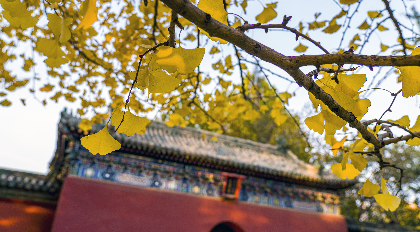 磁场不合的人,终究不是一路人 磁场不合的人,终究不是一路人