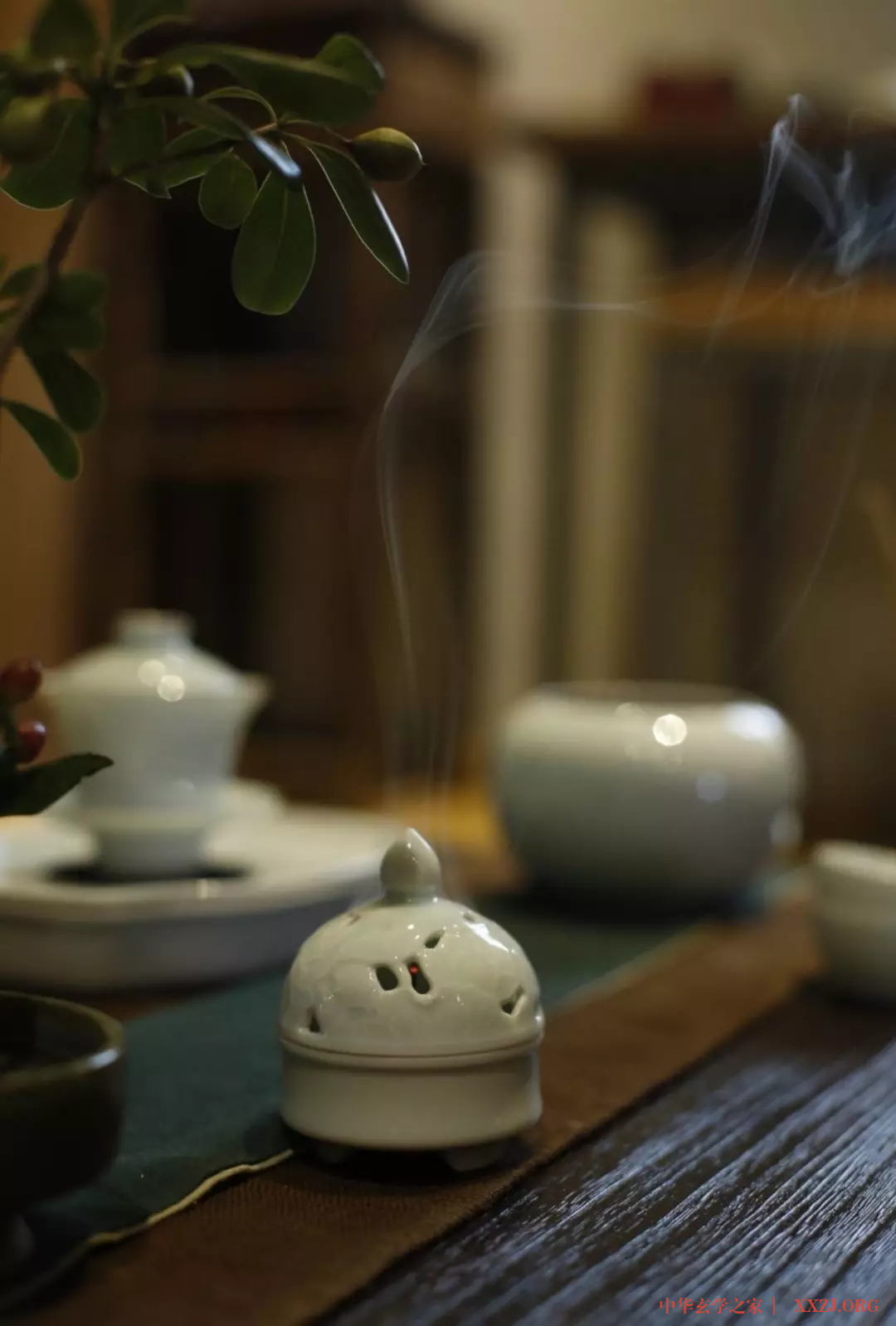 古琴曲《往后余生》与时光共清欢，身安康，心安宁