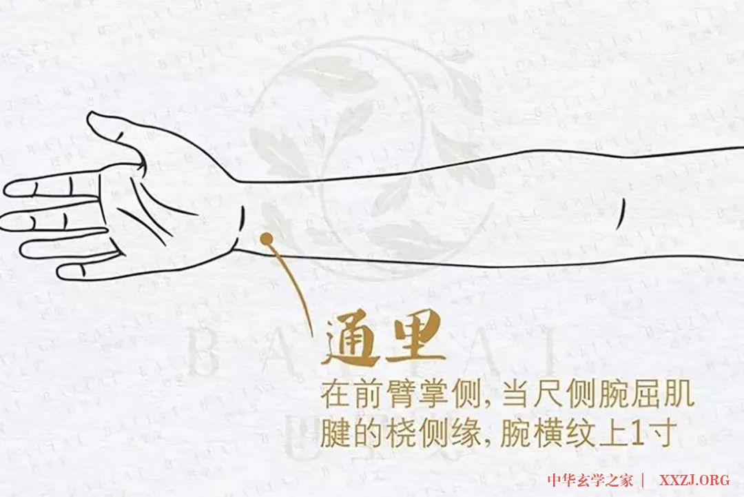 手臂内侧三个护心穴