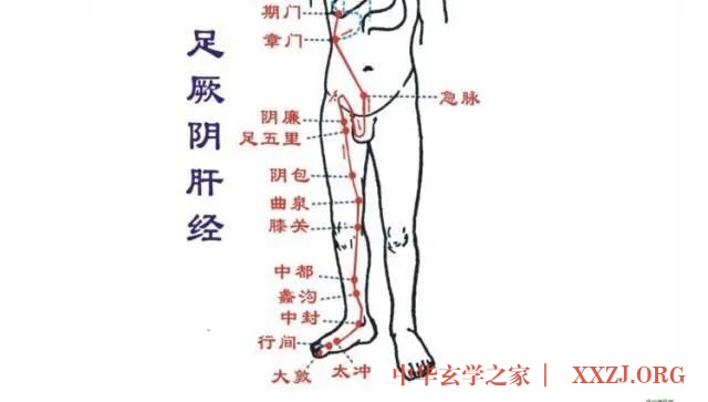 火往上走,寒往下沉,腿是寒气的大本营 火往上走,寒往下沉,腿是寒气的大本营
