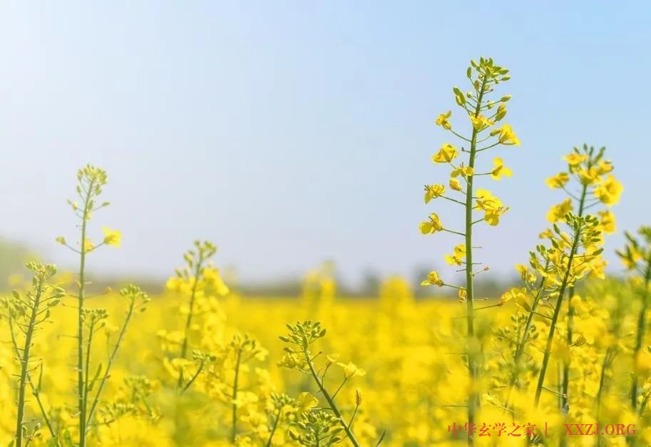 做自己的太阳，无需凭借谁的光。